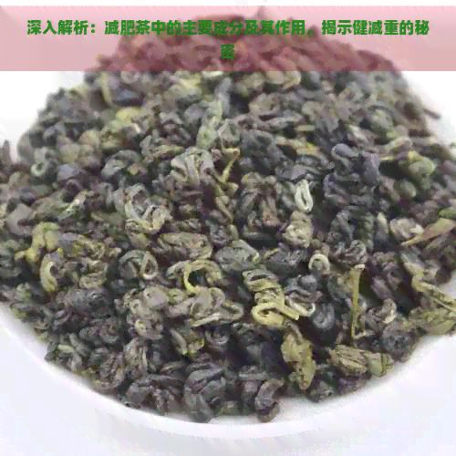 深入解析：減肥茶中的主要成分及其作用，揭示健減重的秘密