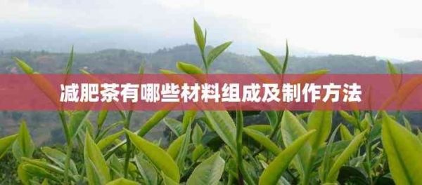減肥茶有哪些材料組成及制作方法
