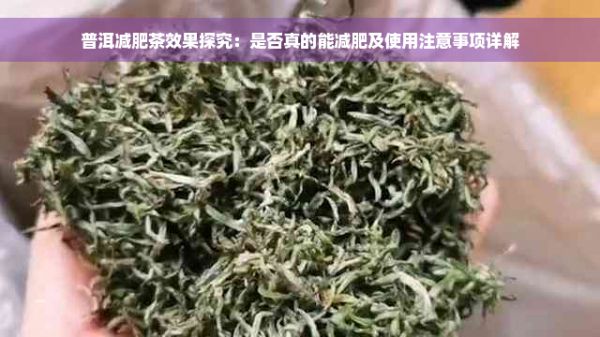 普洱減肥茶效果探究：是否真的能減肥及使用注意事項詳解