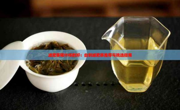減肥茶喝什樣的好：自制減肥茶推薦與挑選指南