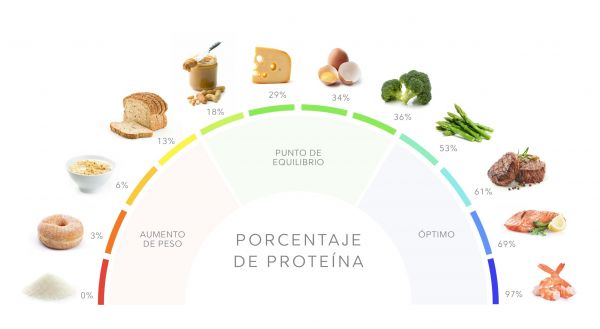 Beneficios de dieta baja en carbohidratos y alta en proteínas