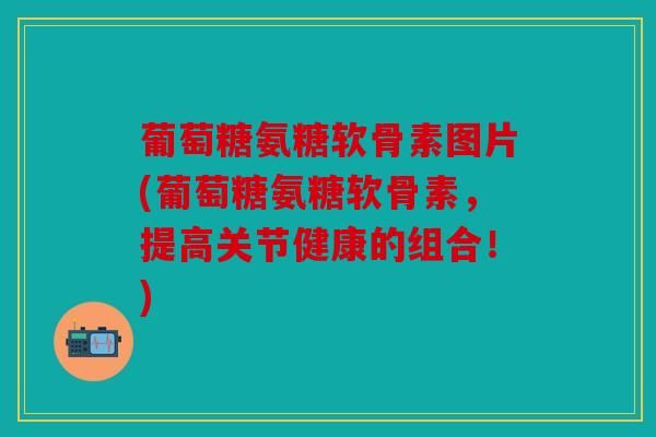 葡萄糖氨糖軟骨素圖片(葡萄糖氨糖軟骨素，提高關(guān)節(jié)健康的組合！)