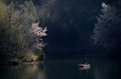 如果睡虎地秦简的主人直播连线做秦律咨询会什么样的呢？