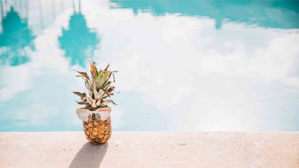 summer-pool-concept-with-pineapple.jpg
