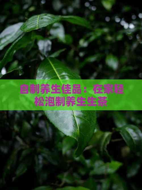 自制養(yǎng)生佳品：在家輕松泡制養(yǎng)生生茶
