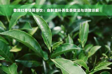 普洱紅棗鎖陽茶飲：自制滋補養(yǎng)生茶做法與功效詳解