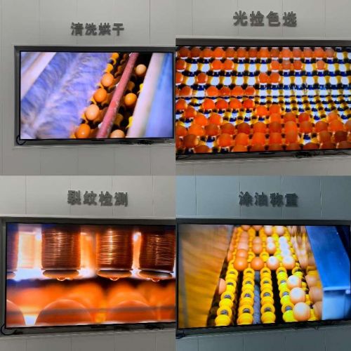 藥食同源新篇章！嘉寶果品牌翡翠雞與能量蛋引領健康革命