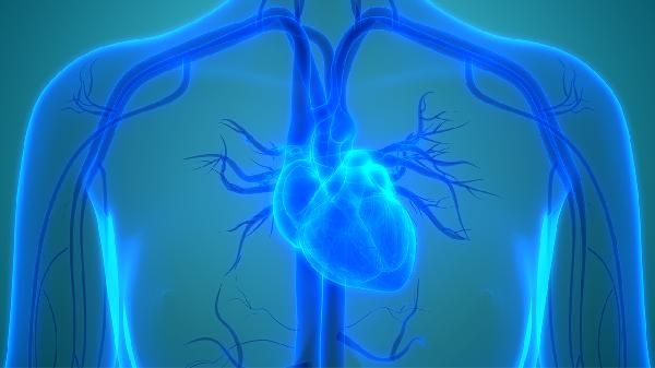 心脏供血不足怎样调理 五个方法调理心脏供血不足