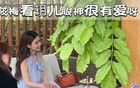 汪小菲六一夸小玥兒穿的漂亮，筱梅：再給她買！