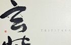 有史以來最稀有的電子游戲之一終于上傳到網(wǎng)絡(luò)保存