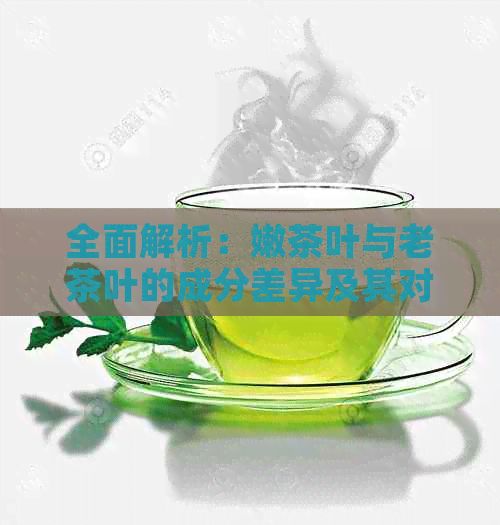 全面解析：嫩茶葉與老茶葉的成分差異及其對健康的影響