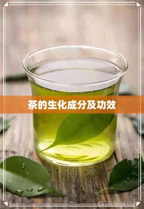 茶的生化成分及功效