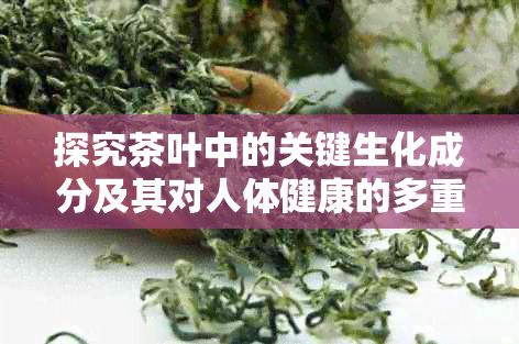 探究茶葉中的關(guān)鍵生化成分及其對(duì)人體健康的多重益處