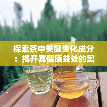 探索茶中關(guān)鍵生化成分：揭開(kāi)其健康益處的奧秘