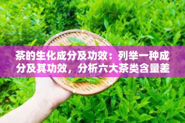 茶的生化成分及功效：列舉一種成分及其功效，分析六大茶類含量差異