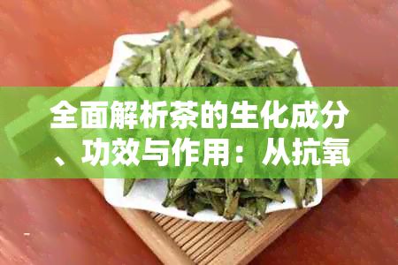 全面解析茶的生化成分、功效與作用：從抗氧化到減肥，解答您的所有疑問(wèn)