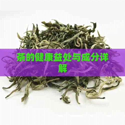 茶的健康益處與成分詳解