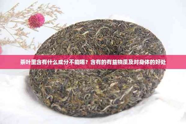 茶葉里含有什么成分不能喝？含有的有益物質(zhì)及對(duì)身體的好處