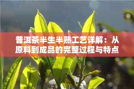 普洱茶半生半熟工藝詳解：從原料到成品的完整過程與特點(diǎn)分析
