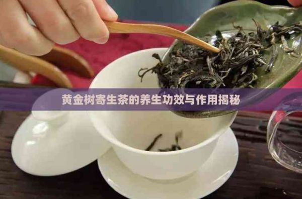 黃金樹寄生茶的養(yǎng)生功效與作用揭秘