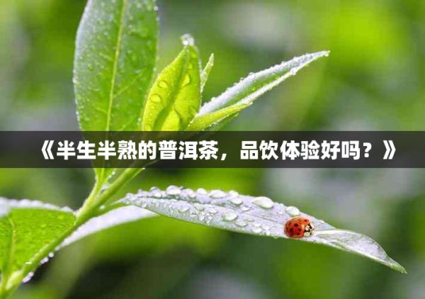 《半生半熟的普洱茶，品飲體驗(yàn)好嗎？》