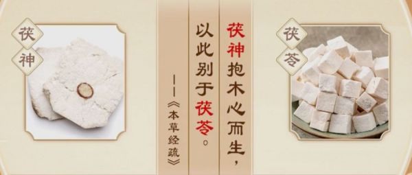 杏林早報(bào) | 中醫(yī)解綁難纏病——失眠(圖7)