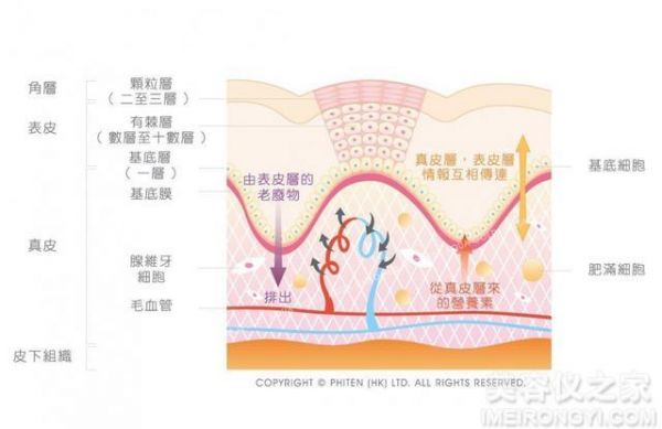 干貨分享｜關(guān)于美容儀，看這篇就夠了
