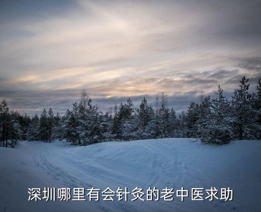 深圳哪里有会针灸的老中医求助