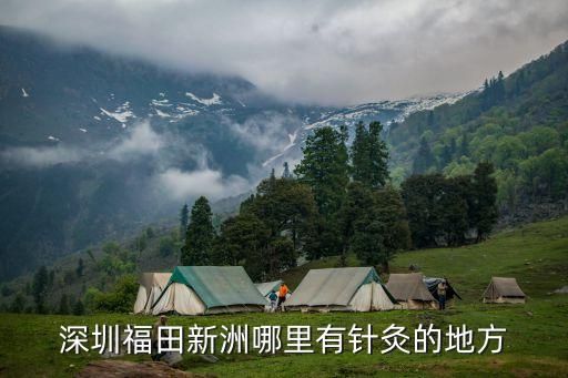 深圳福田新洲哪里有针灸的地方
