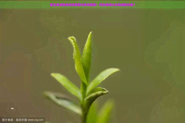 碧生源減肥茶的保質(zhì)期與有效期限：何時使用以達到減肥效果？