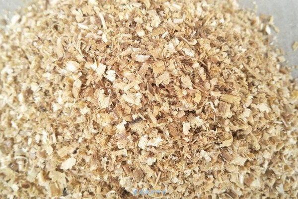 揭秘老中醫(yī)秘方減肥膠囊：千年古方現(xiàn)代科技助力健康瘦身之路