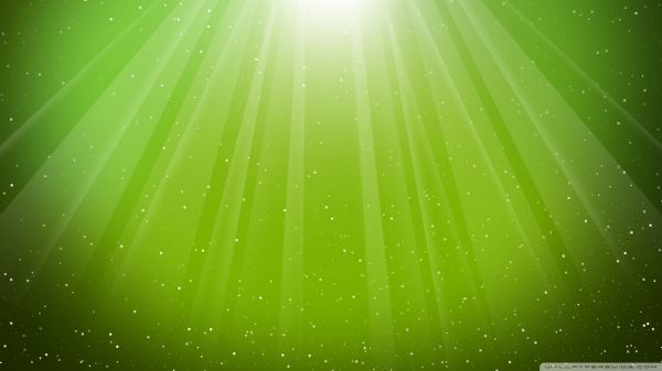 特效中藥減肥秘方大公開
