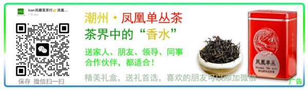 凤凰单丛茶网