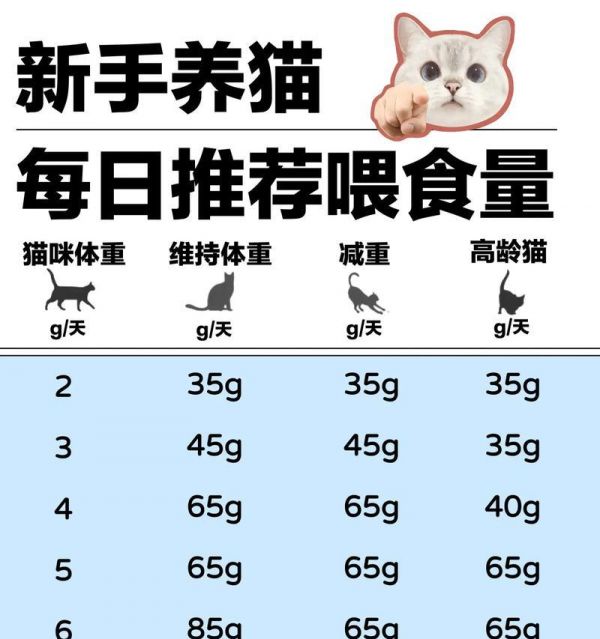 貓糧全是谷物對(duì)貓咪有什么影響？如何平衡貓咪的飲食？