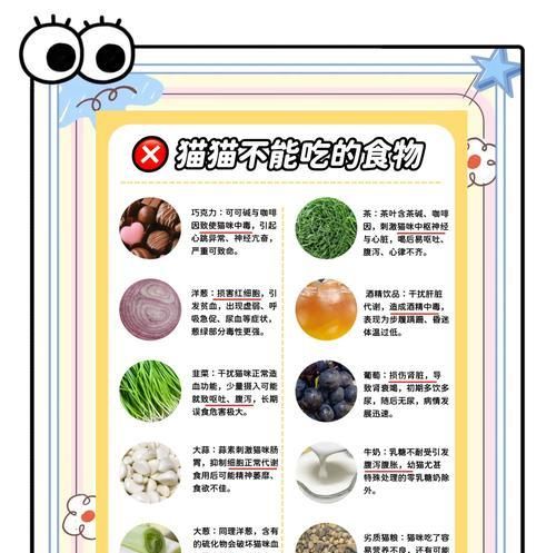 貓糧全是谷物對(duì)貓咪有什么影響？如何平衡貓咪的飲食？
