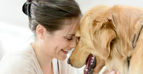 寵物食品消費持續(xù)向好，這些公司業(yè)績增長亮眼