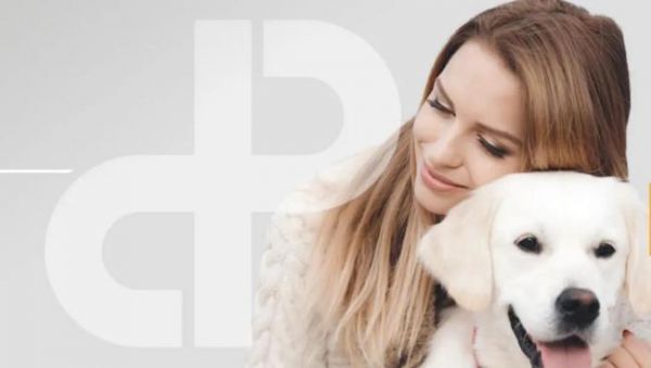 寵物食品消費持續(xù)向好，這些公司業(yè)績增長亮眼