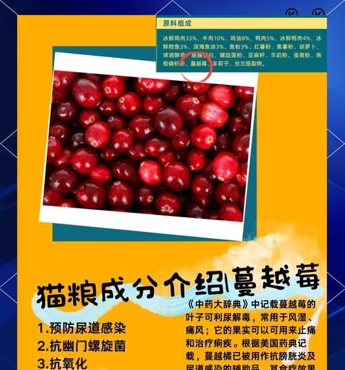 貓糧中的谷物成分對(duì)貓咪有何影響？