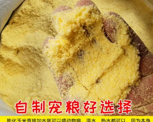 了解阿拉斯加玉米面狗糧，關(guān)心寵物健康（以寵物為主的飲食習(xí)慣）