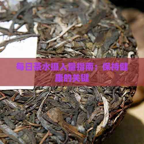 每日茶水攝入量指南：保持健康的關(guān)鍵