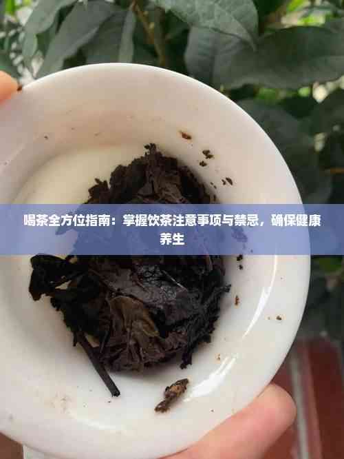 喝茶全方位指南：掌握飲茶注意事項(xiàng)與禁忌，確保健康養(yǎng)生