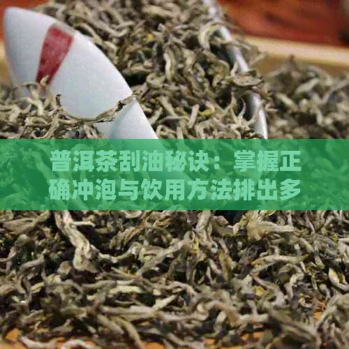 普洱茶刮油秘訣：掌握正確沖泡與飲用方法排出多余油脂
