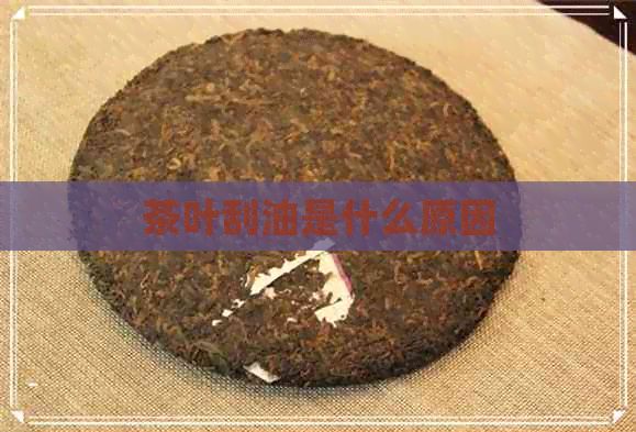 茶葉刮油是什么原因