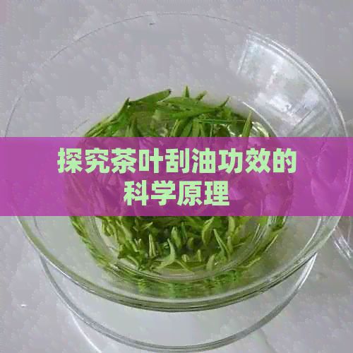 探究茶葉刮油功效的科學(xué)原理