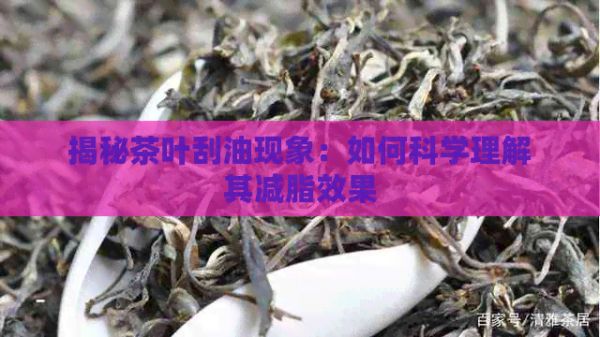 揭秘茶葉刮油現(xiàn)象：如何科學(xué)理解其減脂效果