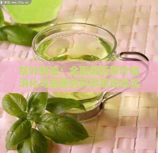 茶葉刮油：全面解析茶葉助消化與減肥的科學(xué)原理及實(shí)用方法