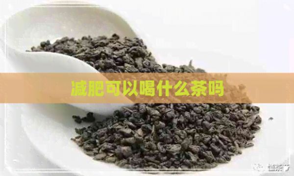 減肥可以喝什么茶嗎