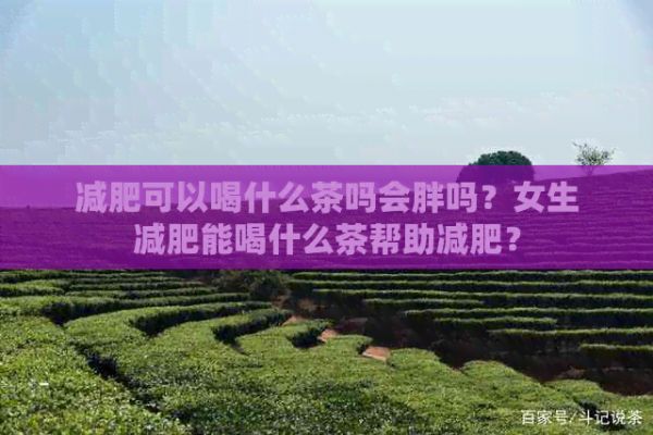 減肥可以喝什么茶嗎會胖嗎？女生減肥能喝什么茶幫助減肥？