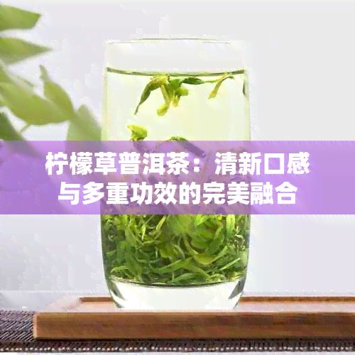 柠檬草普洱茶：清新口感与多重功效的完美融合