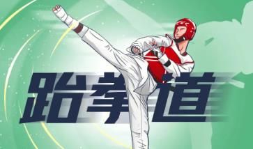 跆拳道教學(xué)視頻
